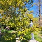 Zuglói Japánkert Budapest - Egyéb