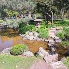 Zuglói Japánkert Budapest - Egyéb