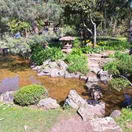 Zuglói Japánkert Budapest - Egyéb