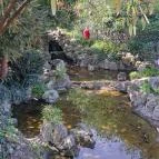 Zuglói Japánkert Budapest - Egyéb