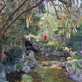 Zuglói Japánkert Budapest - Egyéb