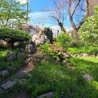 Zuglói Japánkert Budapest - Egyéb