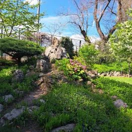 Zuglói Japánkert Budapest - Egyéb