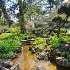 Zuglói Japánkert Budapest - Egyéb