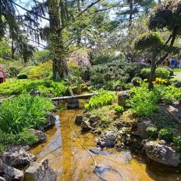 Zuglói Japánkert Budapest - Egyéb