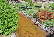 Zuglói Japánkert Budapest