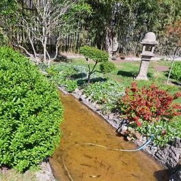 Zuglói Japánkert Budapest - Egyéb