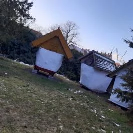 József Attila Városi Könyvtár és Múzeum, Makó - Egyéb