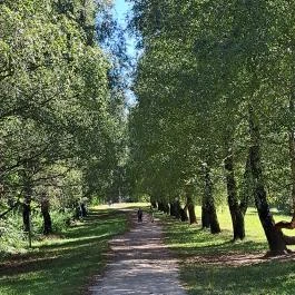 Kányavári-sziget Balatonmagyaród - Egyéb