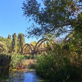 Kányavári-sziget Balatonmagyaród - Egyéb