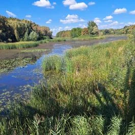 Kányavári-sziget Balatonmagyaród - Egyéb