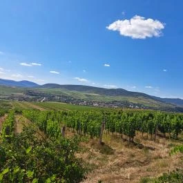 Kincsem Kastély Tolcsva - Egyéb