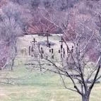 Kisgyőri Golgota Kisgyőr - Egyéb