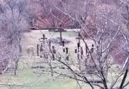 Kisgyőri Golgota Kisgyőr