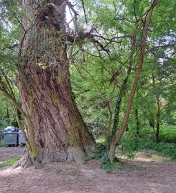 Kisoroszi Szigetcsúcs