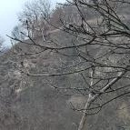 Kőbánya Szurdokpüspöki - Egyéb