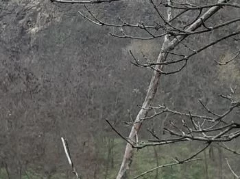 Kőbánya Szurdokpüspöki