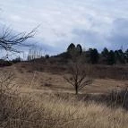 Kőfejtő Dunaalmás - Egyéb