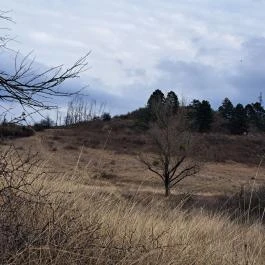 Kőfejtő, Dunaalmás - Egyéb