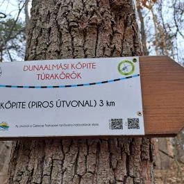 Kőfejtő, Dunaalmás - Egyéb