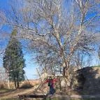 Kont fa Hédervár - Egyéb