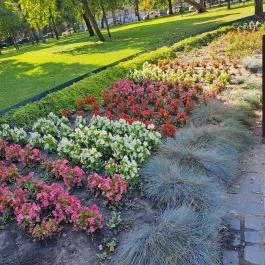 Kós Károly tér, Budapest - Egyéb