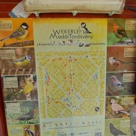 Kós Károly tér, Budapest - Egyéb