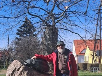 Krumplibogár szobor Hédervár