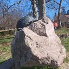 Krumplibogár szobor Hédervár - Egyéb