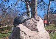 Krumplibogár szobor Hédervár