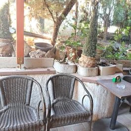 Liget Borozó Mosonmagyaróvár - Egyéb