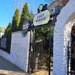 Liget Borozó Mosonmagyaróvár - Egyéb