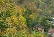 Lillafüredi Állami Erdei Vasút Lillafüred