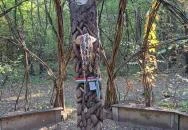 Lourdesi barlang - Gyümölcsoltó Boldogasszony pihenőhely Vácrátót