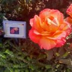 Luby-kastély Nagyar - Külső kép