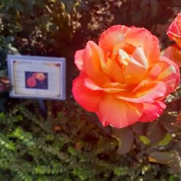 Luby-kastély Nagyar - Külső kép