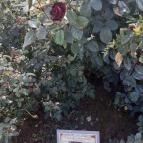 Luby-kastély Nagyar - Külső kép