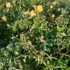 Luby-kastély Nagyar - Külső kép