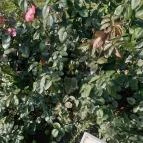 Luby-kastély Nagyar - Külső kép