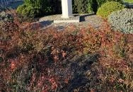 Luxemburgi Zsigmond mellszobor Hatvan