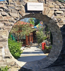 Mahayana Buddhista Egyház