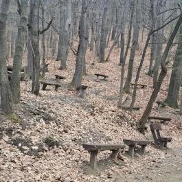 Mária-kegyhely, Szentkút, Pilisszentkereszt - Egyéb