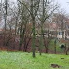 Máriabesnyői Nagyboldogasszony Bazilika Gödöllő - Egyéb