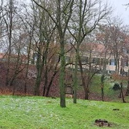 Máriabesnyői Nagyboldogasszony Bazilika Gödöllő - Egyéb