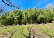 MATE Gödöllői Botanikus Kert Gödöllő