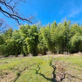MATE Gödöllői Botanikus Kert, Gödöllő - Egyéb