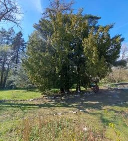 MATE Gödöllői Botanikus Kert