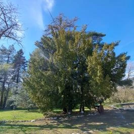 MATE Gödöllői Botanikus Kert, Gödöllő - Egyéb