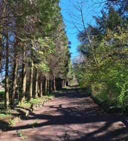 4. legjobb látnivaló: MATE Gödöllői Botanikus Kert