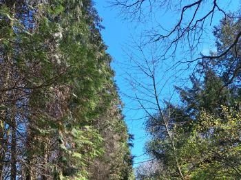 MATE Gödöllői Botanikus Kert Gödöllő